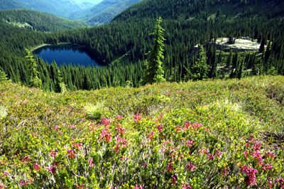 Hoodoo Lake, Shoshone County